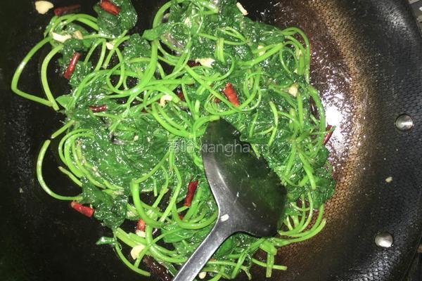 干辣椒炒红薯叶的做法图解6