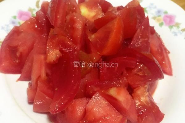 西红柿炖牛腩的做法图解2