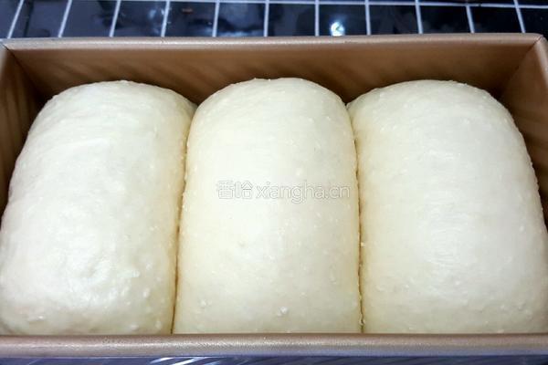 南洋椰风吐司的做法图解12