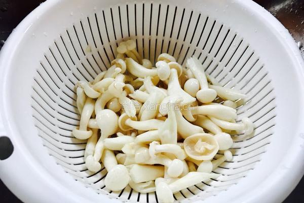 鲜菇西红柿鸡蛋汤的做法图解3