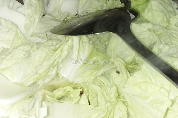白菜鲜汤的做法图解12