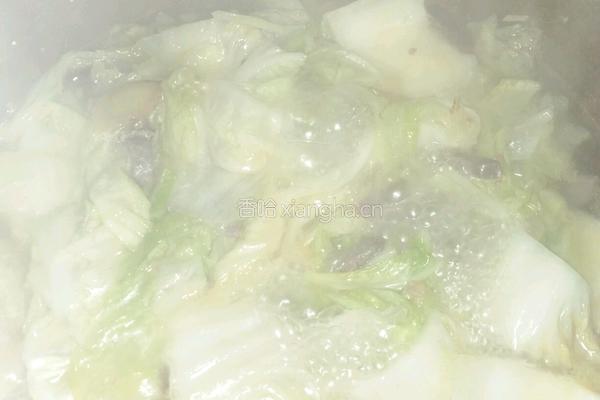 白菜鲜汤的做法图解17