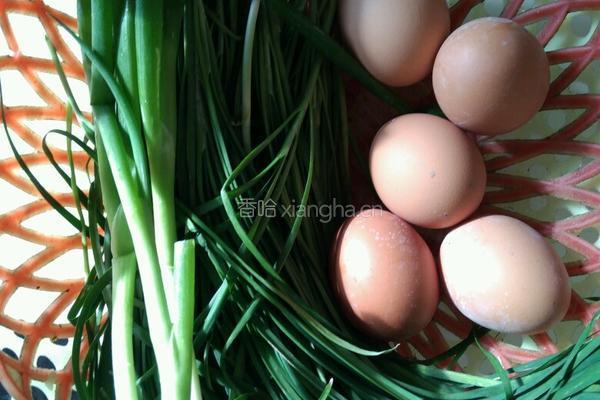 韭菜鸡蛋饺子的做法图解1