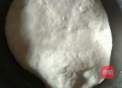 韭菜鸡蛋饺子的做法图解7