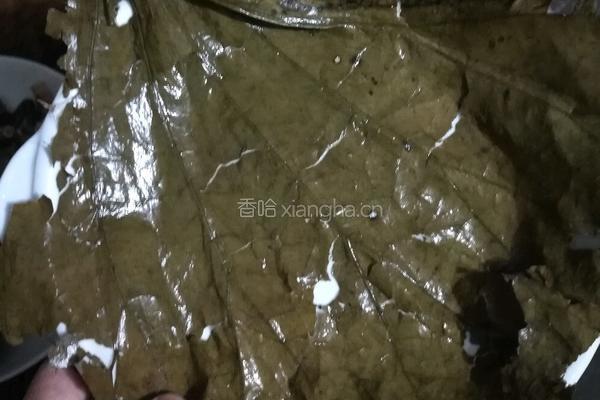 红鲟饭的做法图解6