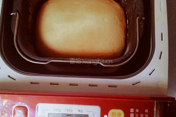 面包机快速面包的做法图解5