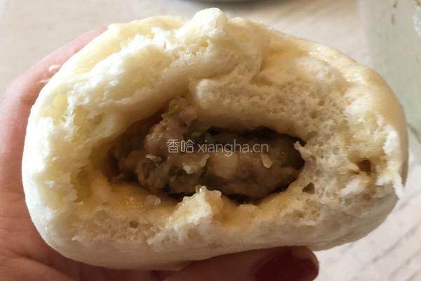 芽菜菜肉包的做法图解18