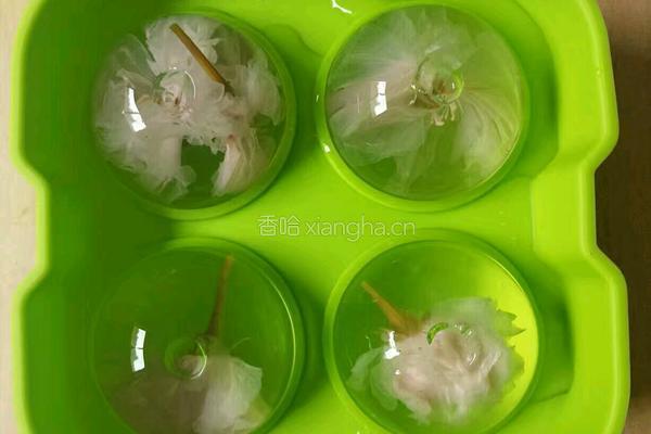 水信玄饼的做法图解9