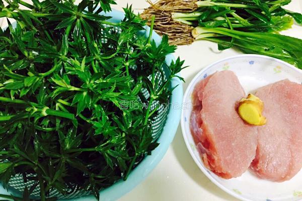 刺芹瘦肉汤的做法图解1