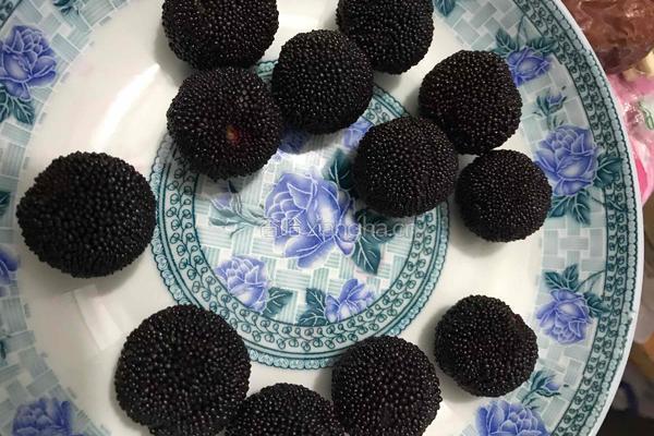 杨梅果酱的做法图解3