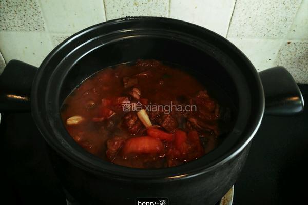 番茄炖牛腩的做法图解14