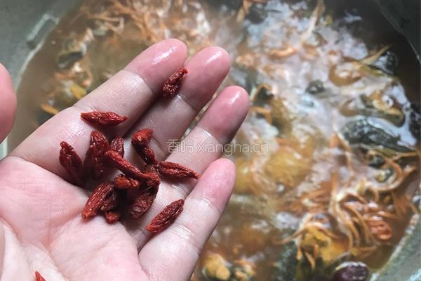 虫草花乌鸡汤的做法图解6
