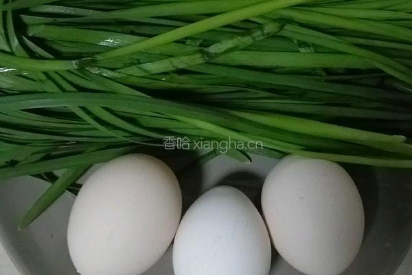 鸡蛋炒韭菜的做法图解1