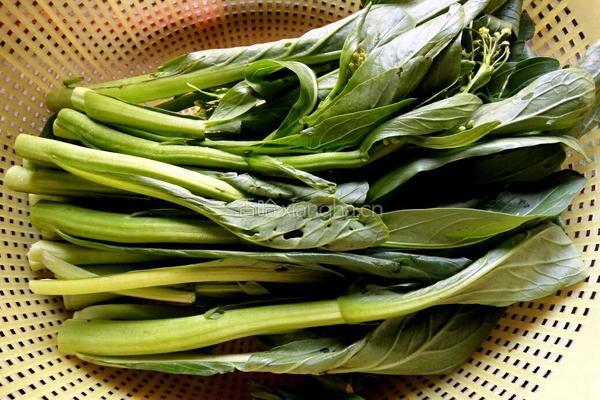 菜心炒瘦肉的做法图解1