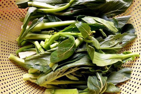 菜心炒瘦肉的做法图解2