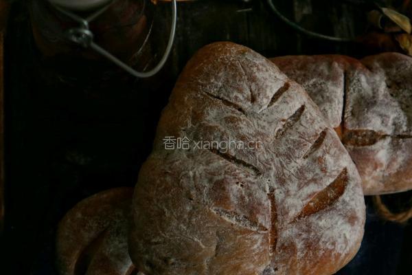 葡萄汁软欧包的做法图解14