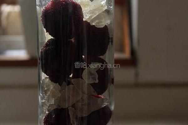 杨梅糖水和杨梅酒的做法图解5