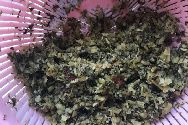 雪菜烧鸡的做法图解3