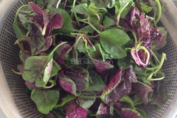 炒红苋菜的做法图解1