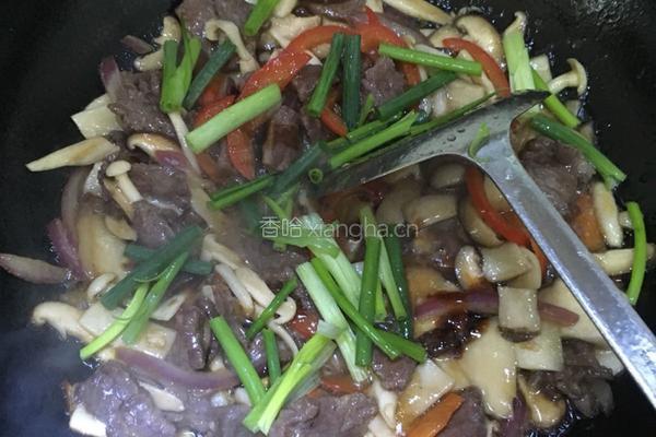 杂菌牛肉片的做法图解6