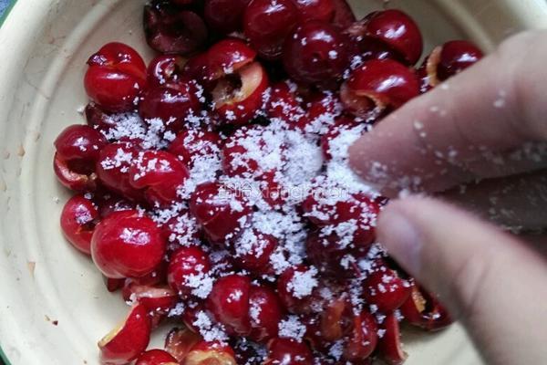 樱桃酱的做法图解3