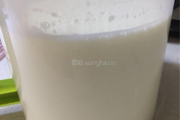 自制电饭煲酸奶的做法图解5