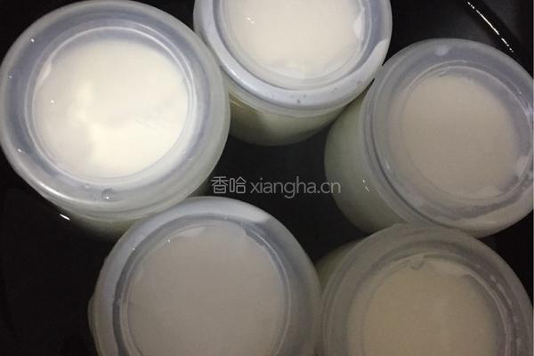 自制电饭煲酸奶的做法图解7