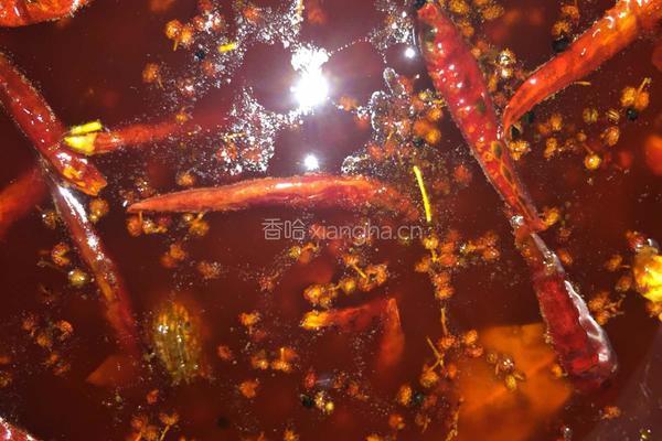 家庭火锅底料炒制的做法图解17