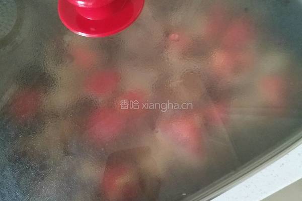 西红柿炖猪肉的做法图解9