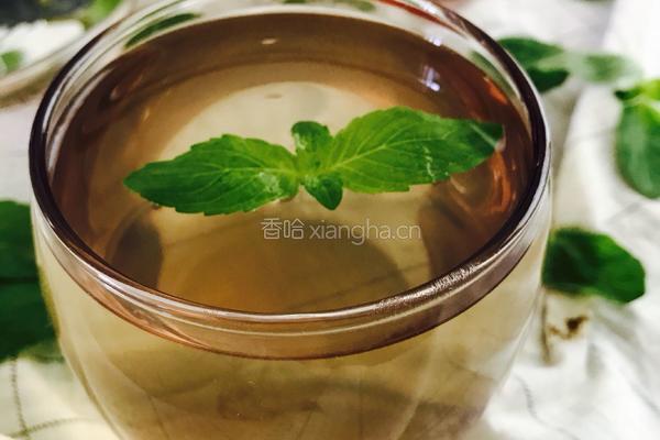 蜂蜜薄荷饮的做法图解6