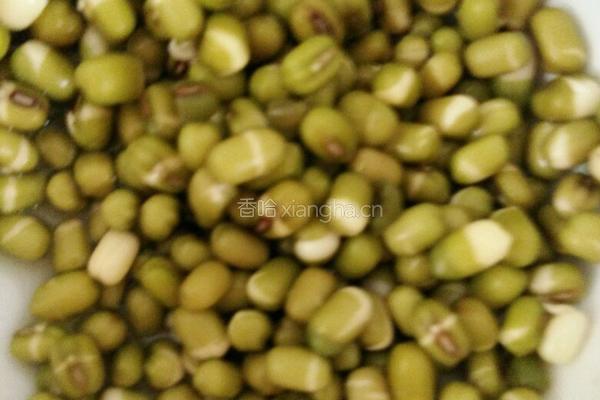 绿豆浆的做法图解2