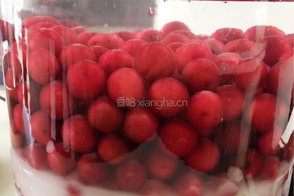 李子酒的做法图解8