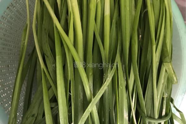 韭菜猪肉饺的做法图解1