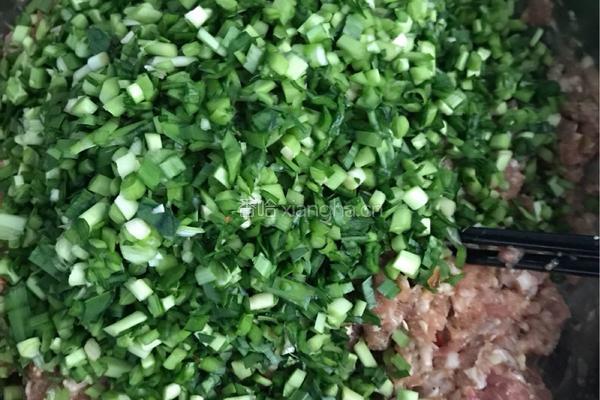 韭菜猪肉饺的做法图解6