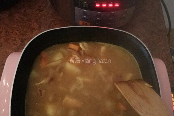 土豆咖喱鸡盖饭的做法图解7