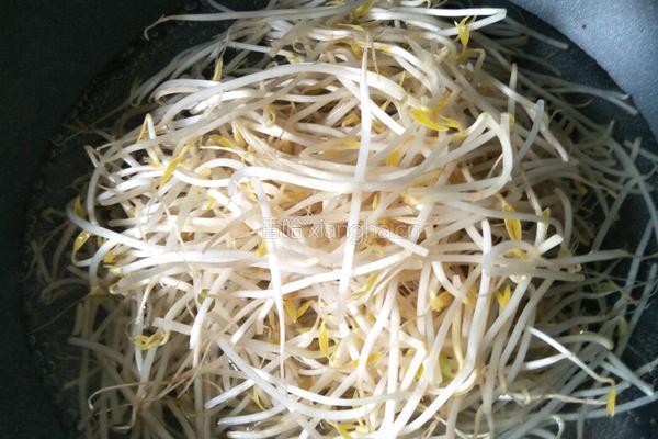凉拌绿豆芽的做法图解2