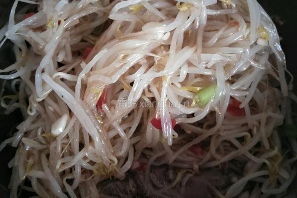 凉拌绿豆芽的做法图解6