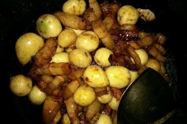 红烧肉炖土豆的做法图解8