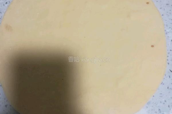 鸡肉披萨的做法图解4