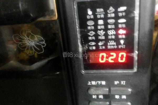香烤青鲇鱼的做法图解3