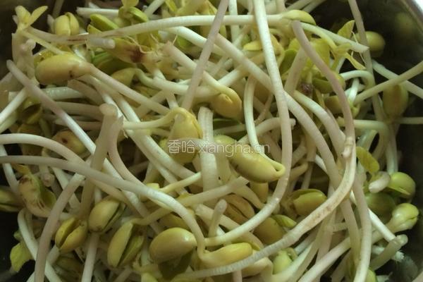 豆芽炒肉的做法图解2