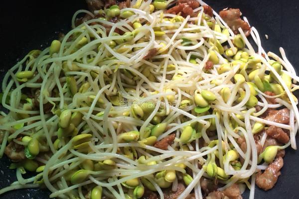 豆芽炒肉的做法图解6