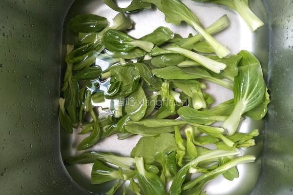 青菜香菇的做法图解2