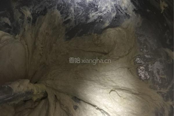 多宝软欧面包的做法图解4