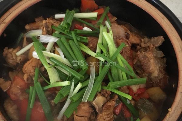 土豆鸡煲的做法图解7