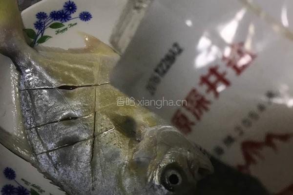 香煎金鲳鱼的做法图解2