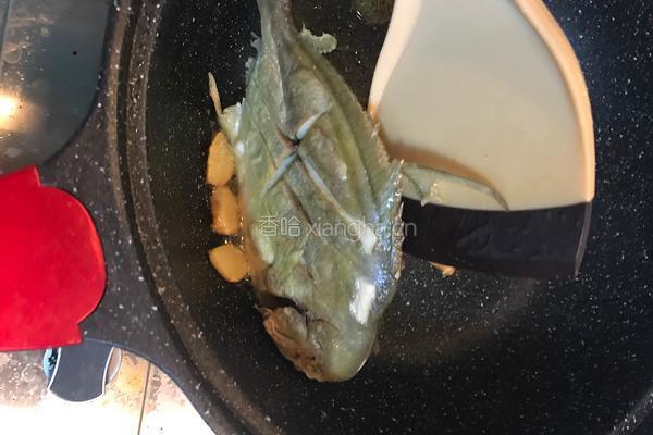 香煎金鲳鱼的做法图解6
