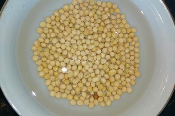 黄豆猪骨冬瓜汤的做法图解3