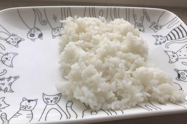 鸡排双拼饭的做法图解16