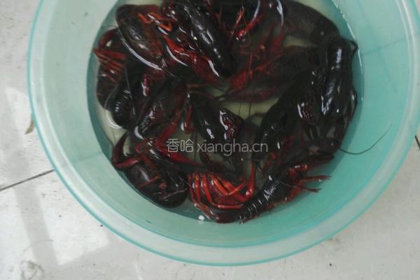 麻辣小龙虾的做法图解1